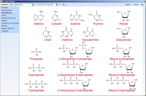 Screenshot ACDLabs ChemSketch Vorlagen